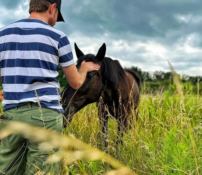 Caring for horses Sonya and Nika